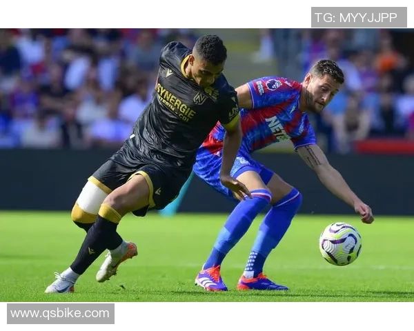 南特对阵沙特鲁精彩直播全程回顾与赛后分析尽在这里