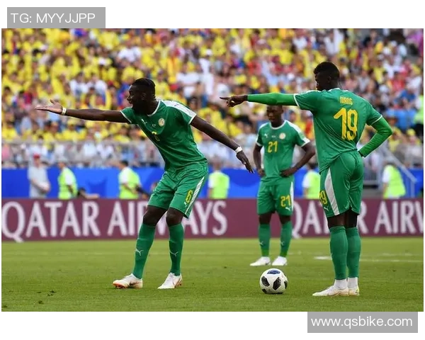 哥伦比亚与卡塔尔对决前瞻分析双方实力及战术布局探讨